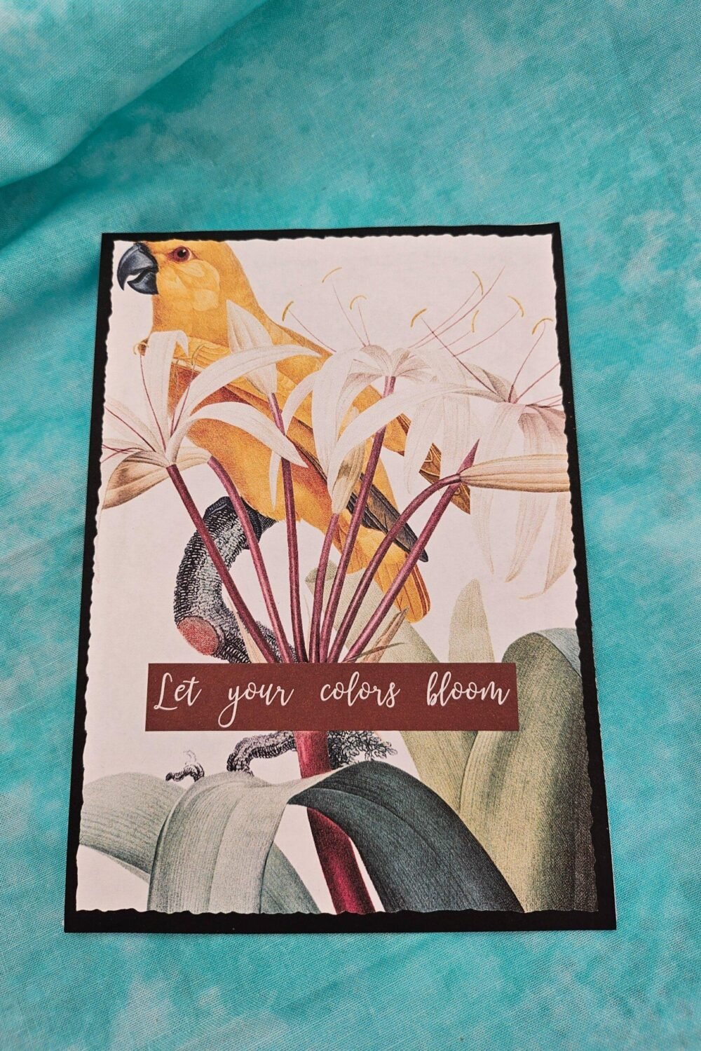 Let Your Colors Bloom