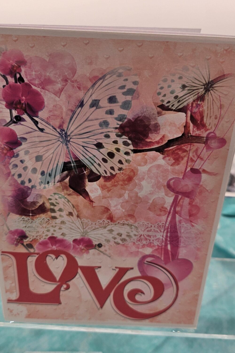 Love and Butterflies