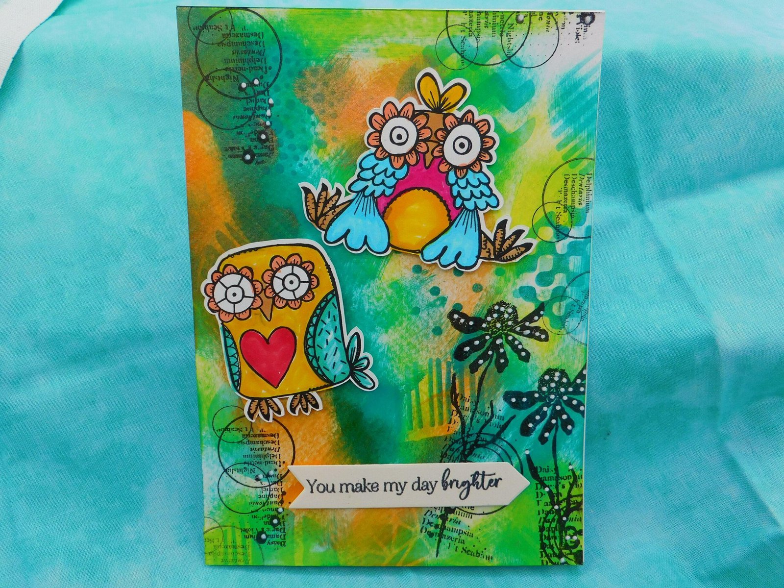 tribe series find my tribe set 43 & 44