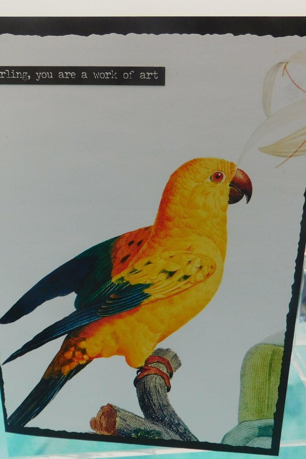 Parrott Celebration Birthday Card