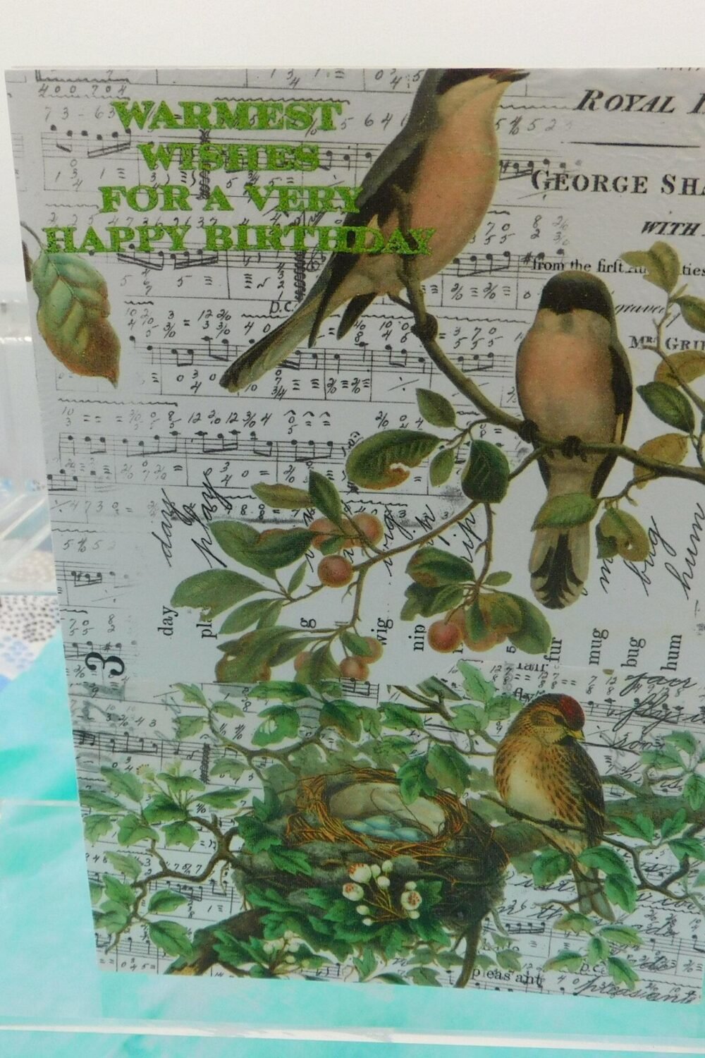 Birds Happy Birthday