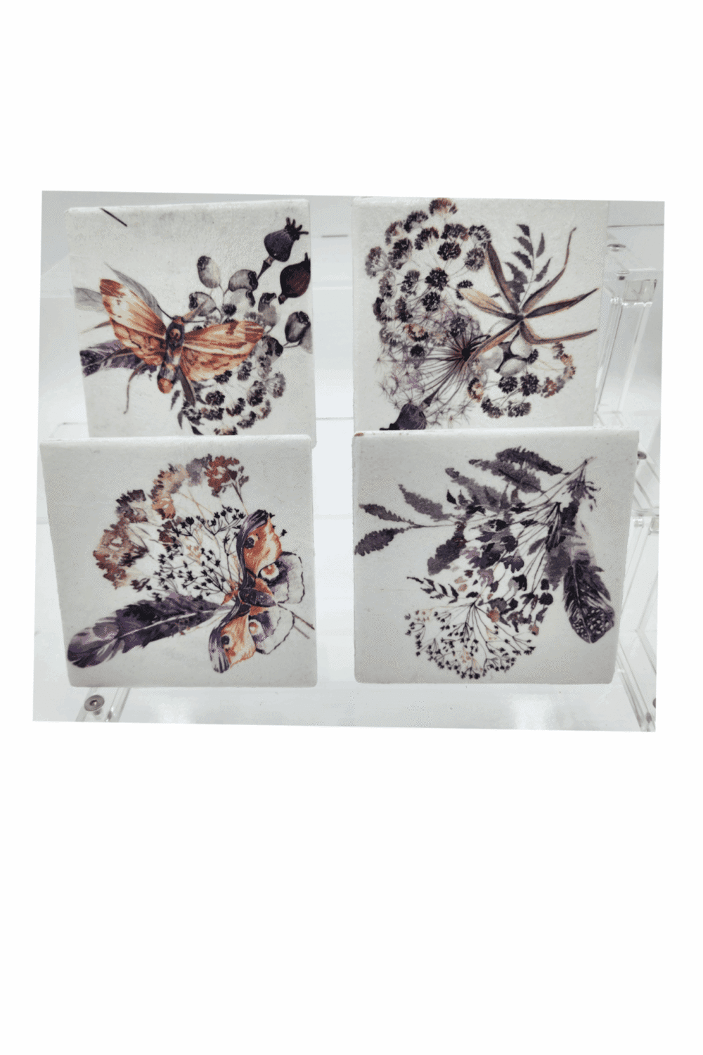 Coasters Butterfly