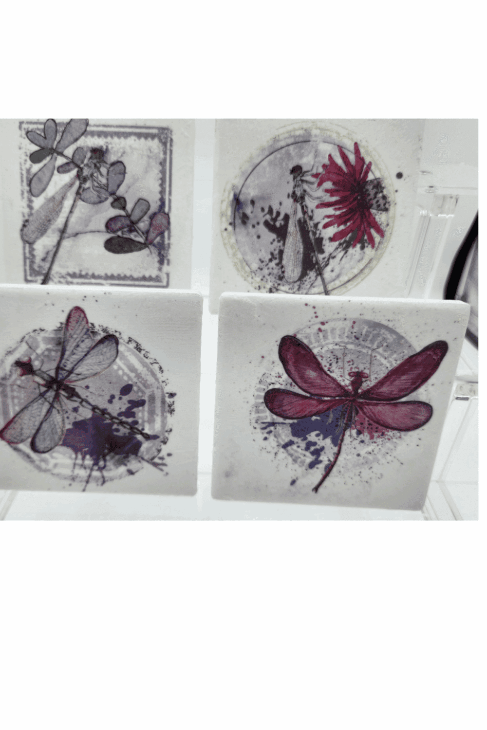Coasters Dragonfly