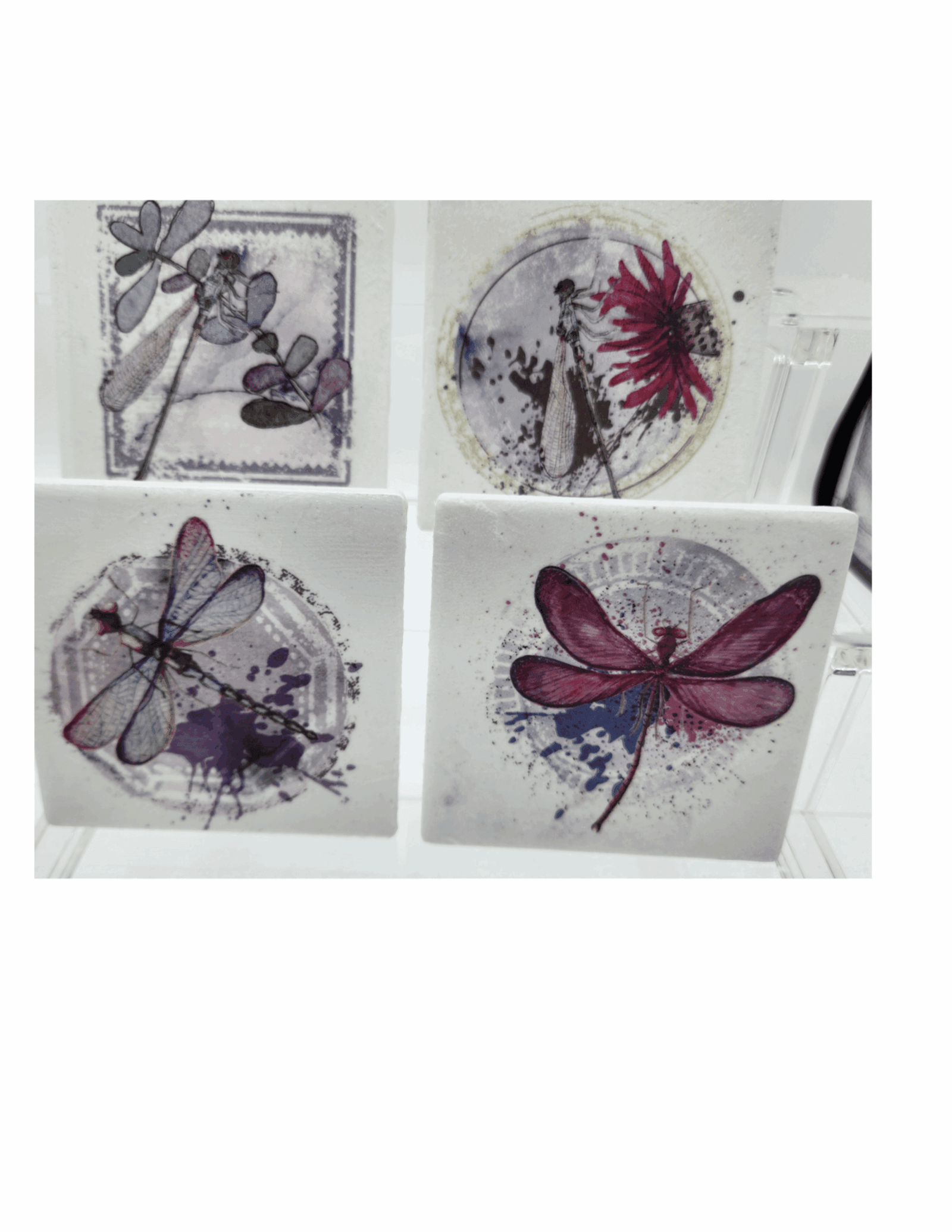 Coasters Dragonfly